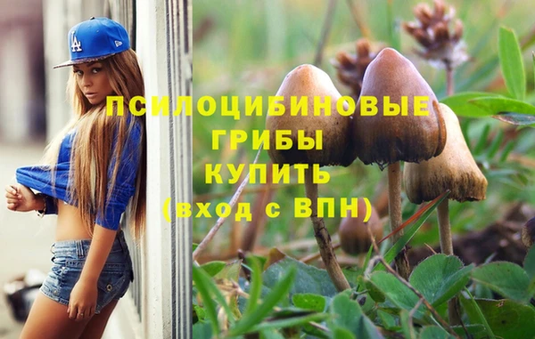 прущая мука Михайловск