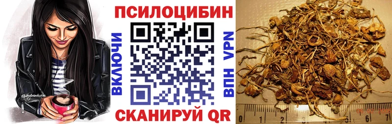 ОМГ ОМГ ССЫЛКА Нефтегорск Псилоцибиновые грибы Magic Shrooms